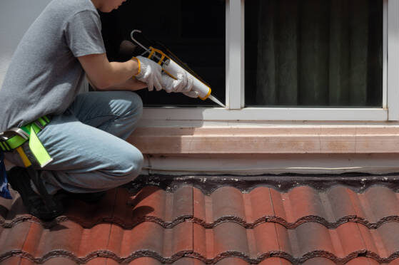 istockphoto 2162184602 612x612